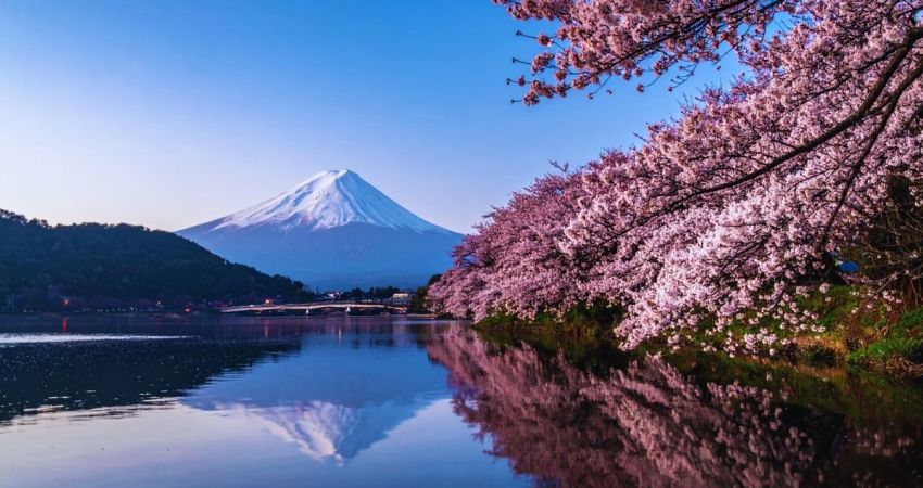 Dolu Dolu Japonya & Kore Turu Mistik Rotalar V6