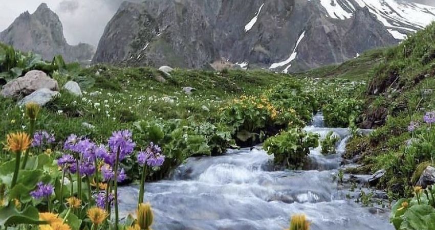 Karadeniz Saklı Cennetleri Şavşat Macahel Özel Turu